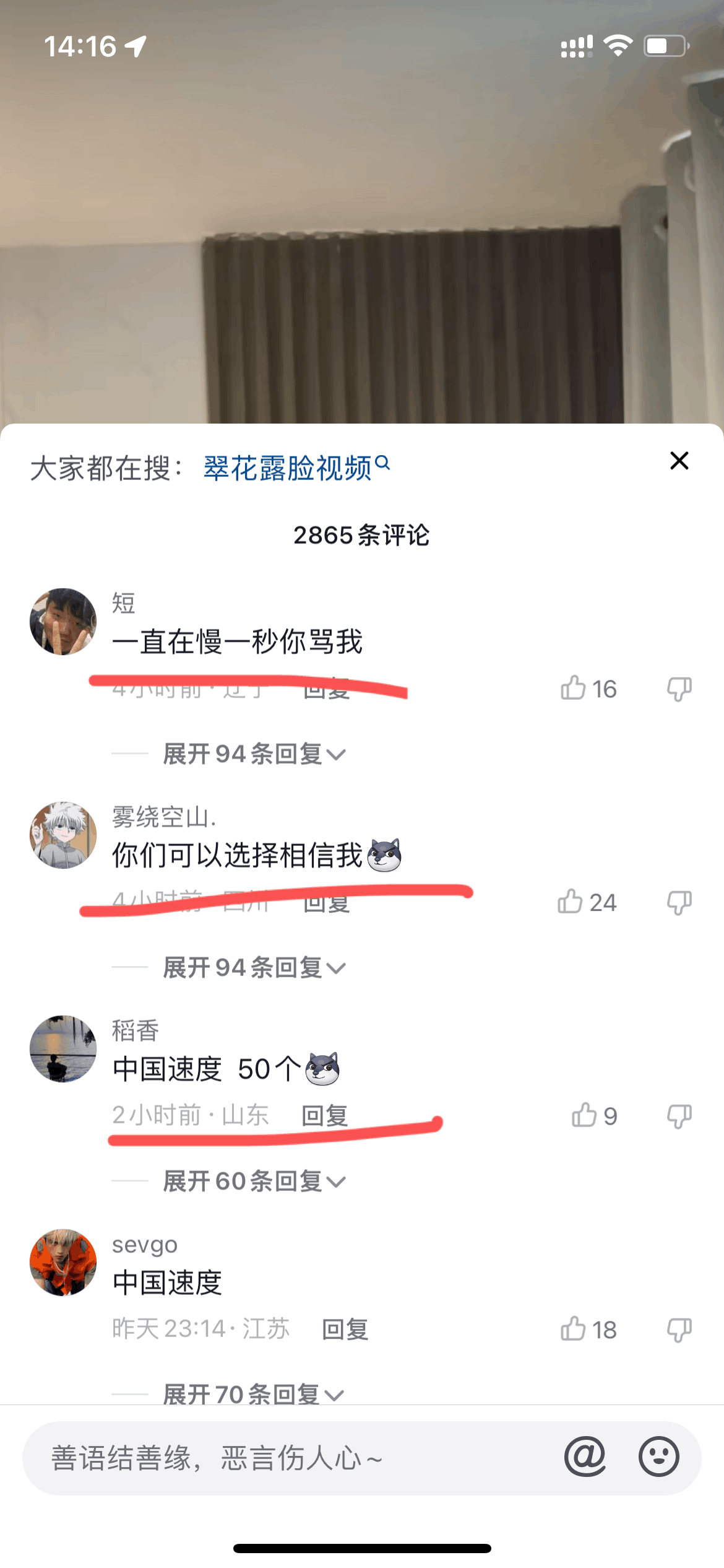 某音-皮卡邱/翠花