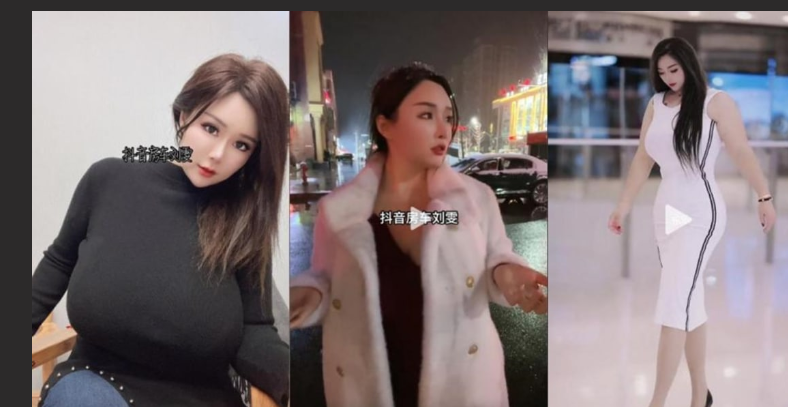 抖音 房车刘雯 抖音博主