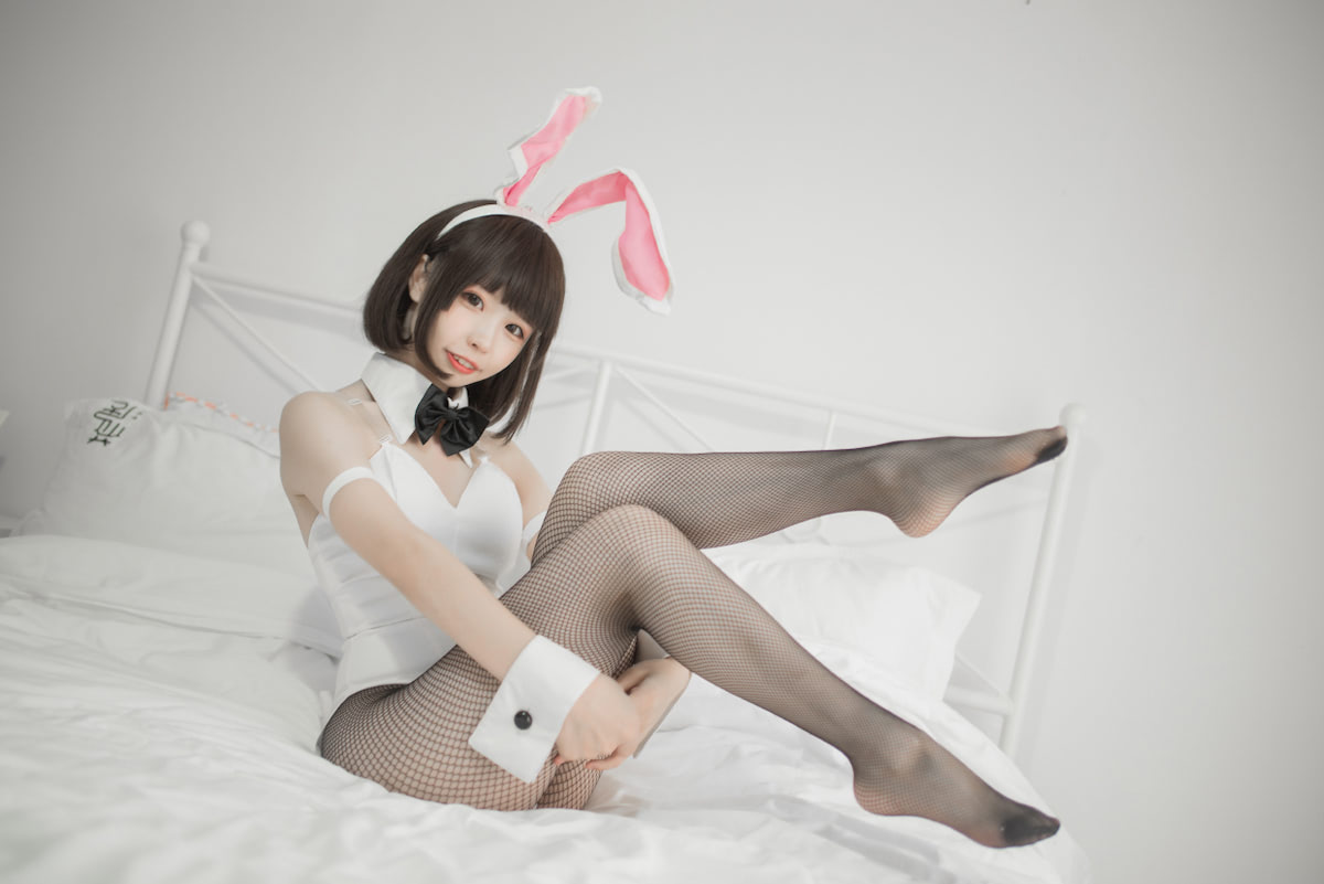 女孩兔女郎女士姐