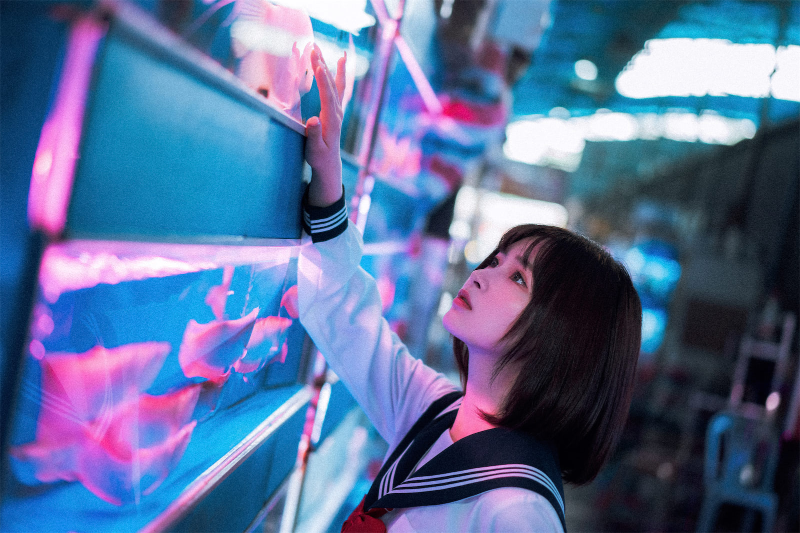 河豚抚子 金鱼jk