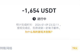 互站三方支付  沙雕*犯  TG:易迅售后