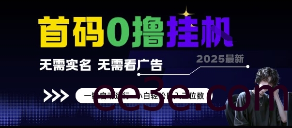 首码0网络用语挂G项目，无需实名无需看广告 一键启动运行，小白轻松日入三位数【揭秘】