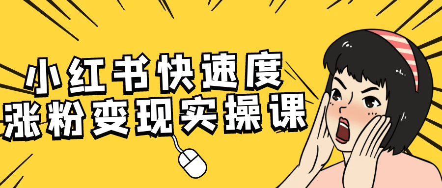 小红书快速度涨粉变现实*课