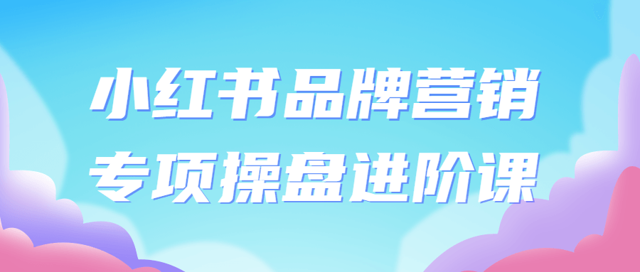 小红书品牌营销专项*盘进阶课